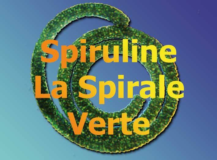 La Spirale verte 