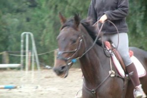 Les cavaliers d'Aleria Les cavaliers d'Aleria