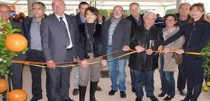 1ère Edition de la Foire de la Clémentine 2012 1ère Edition de la Foire de la Clémentine 2012