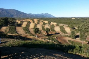 Circuit de motocross de l'Oriente