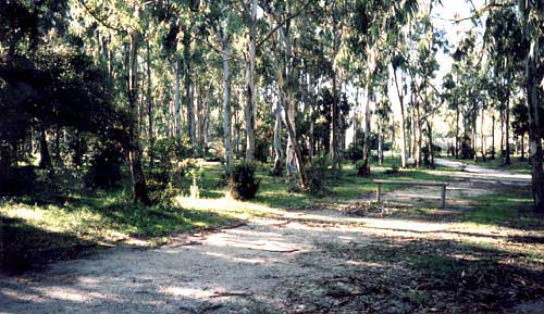 Camping Les Eucalyptus