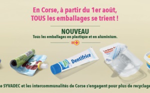 Commune de Linguizzetta