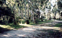 Camping Les Eucalyptus