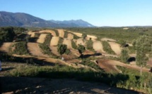 Circuit de motocross de l'Oriente